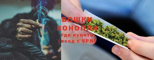 молекула духа Инсар