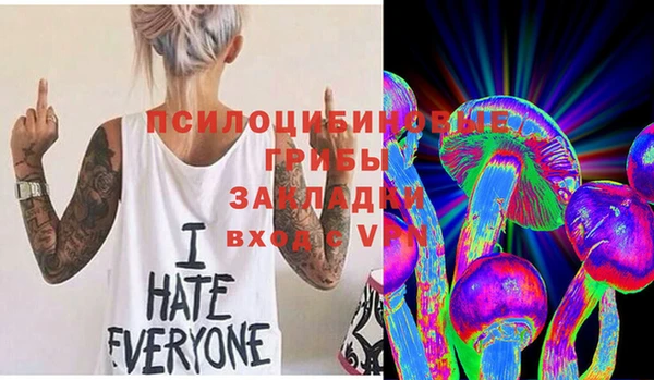 спиды Инта