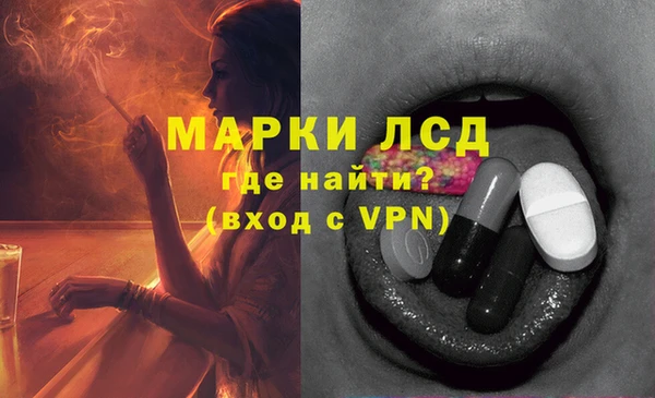спиды Инта