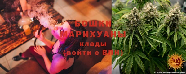 молекула духа Инсар