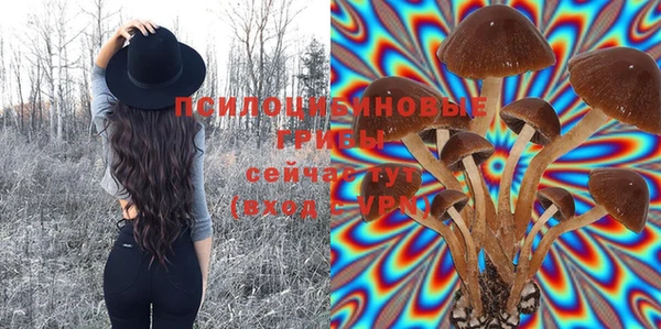 спиды Инта