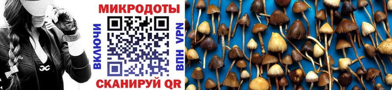 Купить  Комсомольск  Псилоцибиновые грибы мицелий 